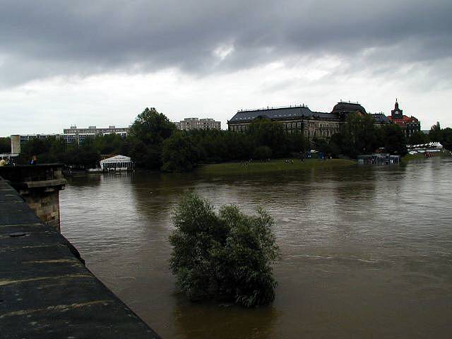 p8140575.jpg
