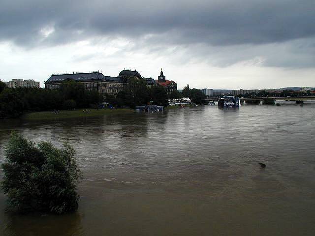 p8140576.jpg