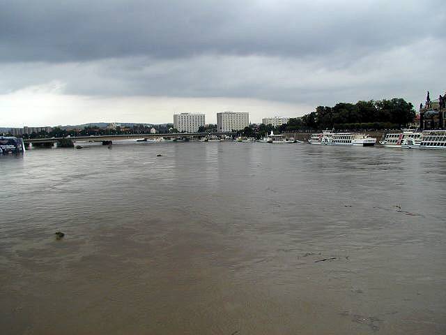 p8140578.jpg