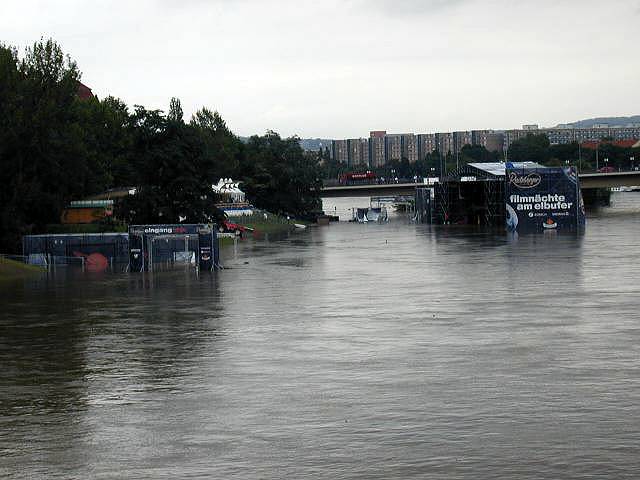 p8140582.jpg
