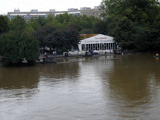 p8140583.jpg