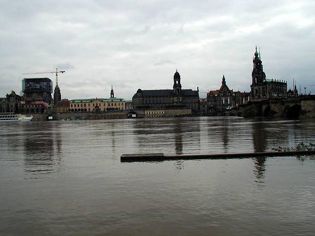 p8140584.jpg