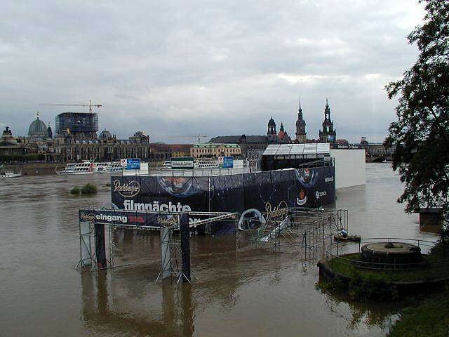 p8140588.jpg