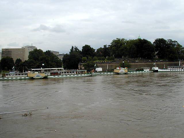 p8140590.jpg