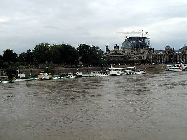 p8140591.jpg