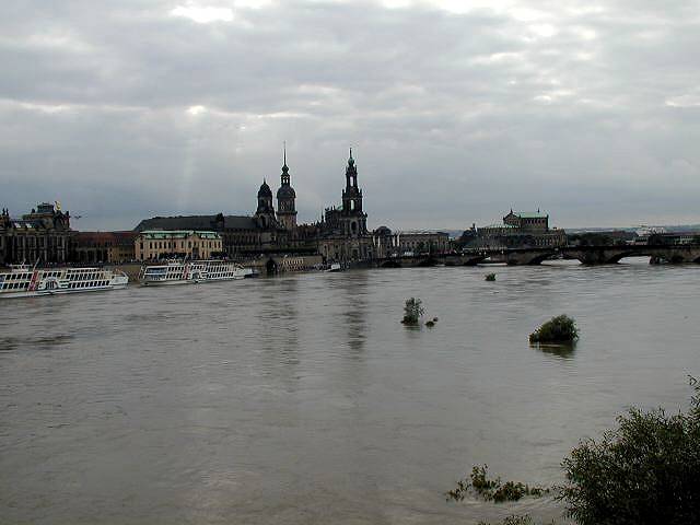 p8140594.jpg