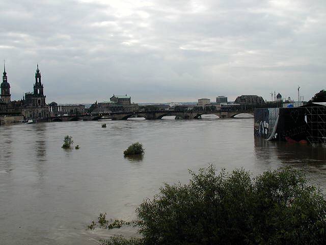 p8140595.jpg