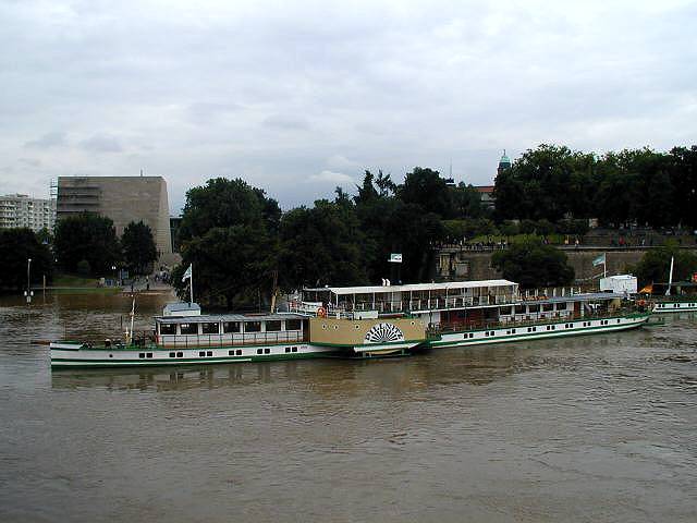 p8140598.jpg