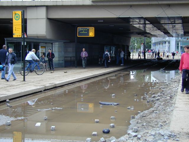 p8140642.jpg