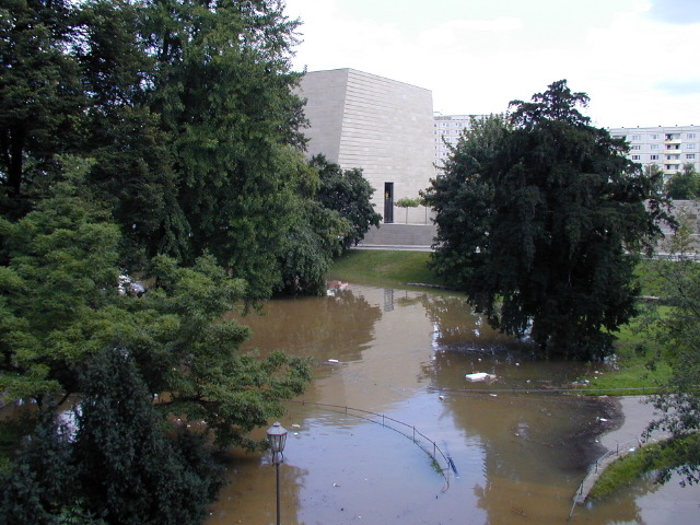 p8150663.jpg