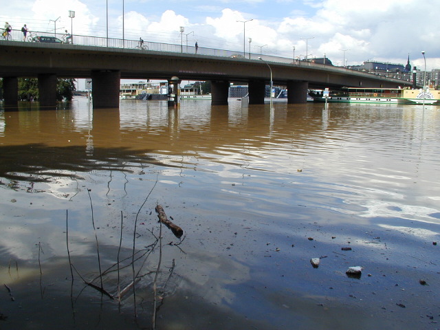 p8150668.jpg