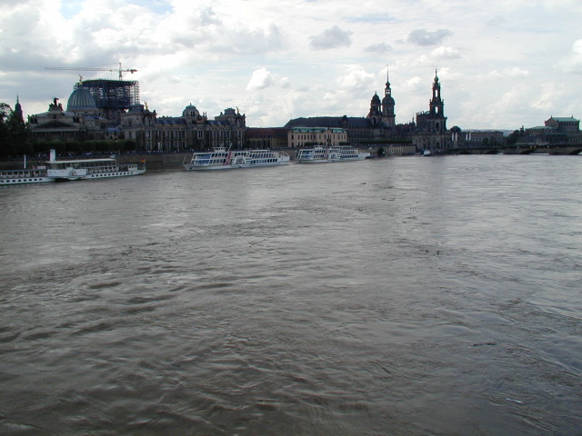 p8150673.jpg
