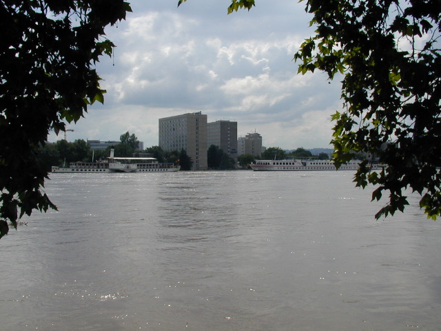 p8150677.jpg