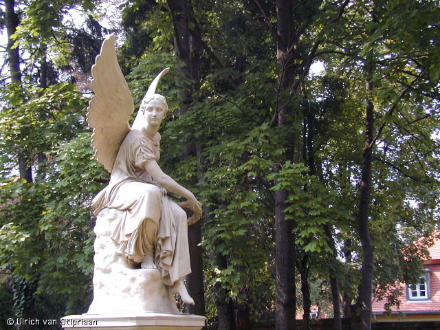 p8170835.jpg