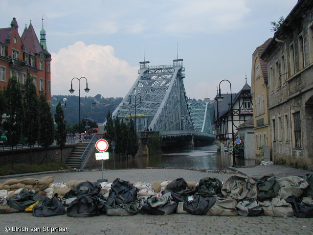 p8170837.jpg
