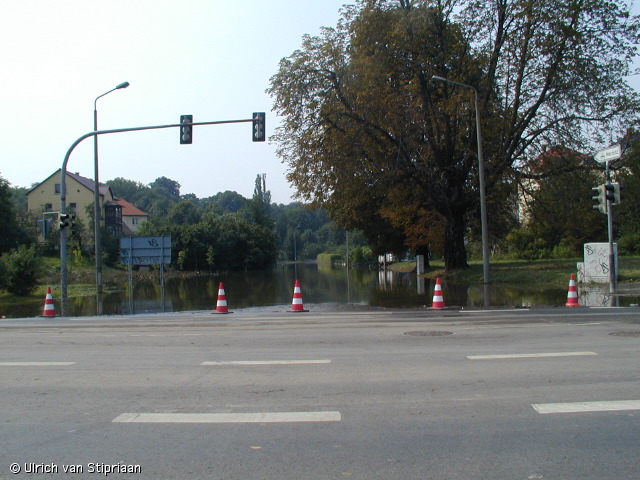 p8180878.jpg