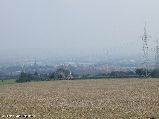 p8180879.jpg