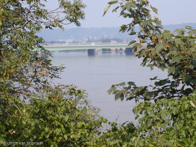 p8180881.jpg