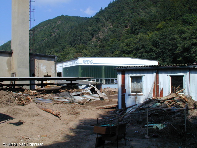 p8190934.jpg