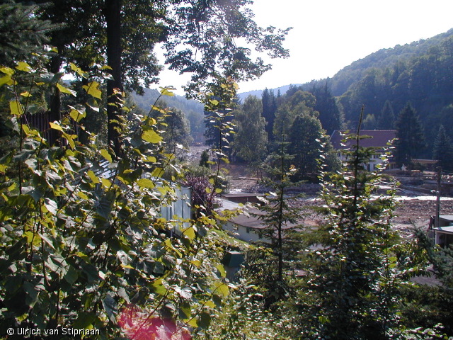 p8190951.jpg