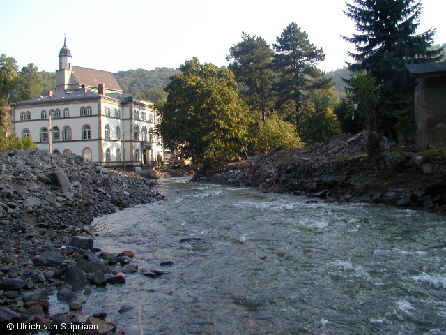 p8200975.jpg