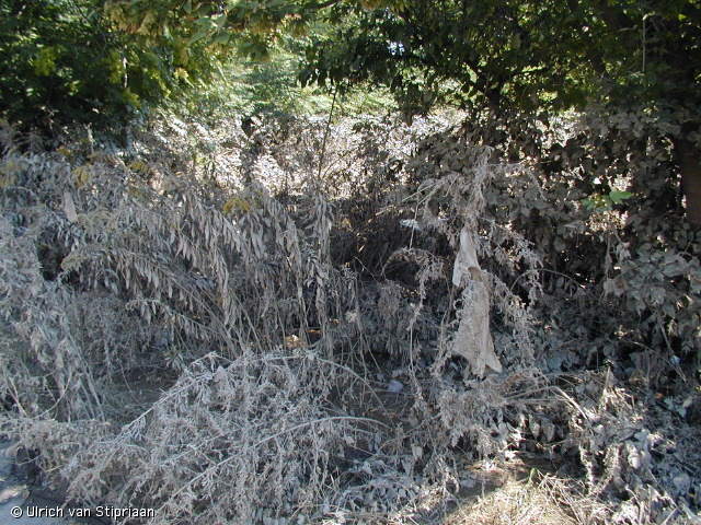 p8231042.jpg