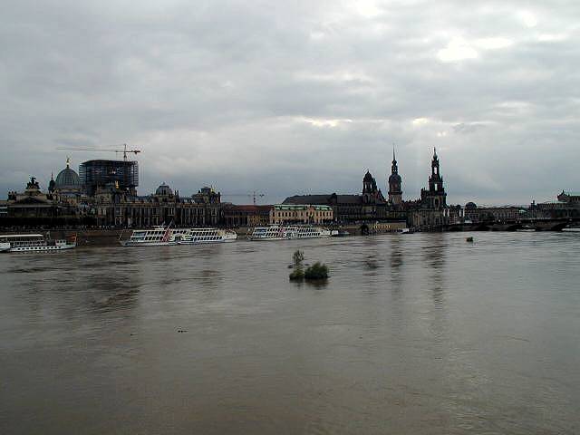 p8140589.jpg